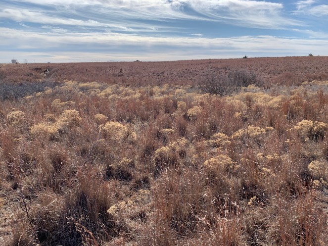 9E9ACBE7-9934-44DB-B161-5F969AEE89B7