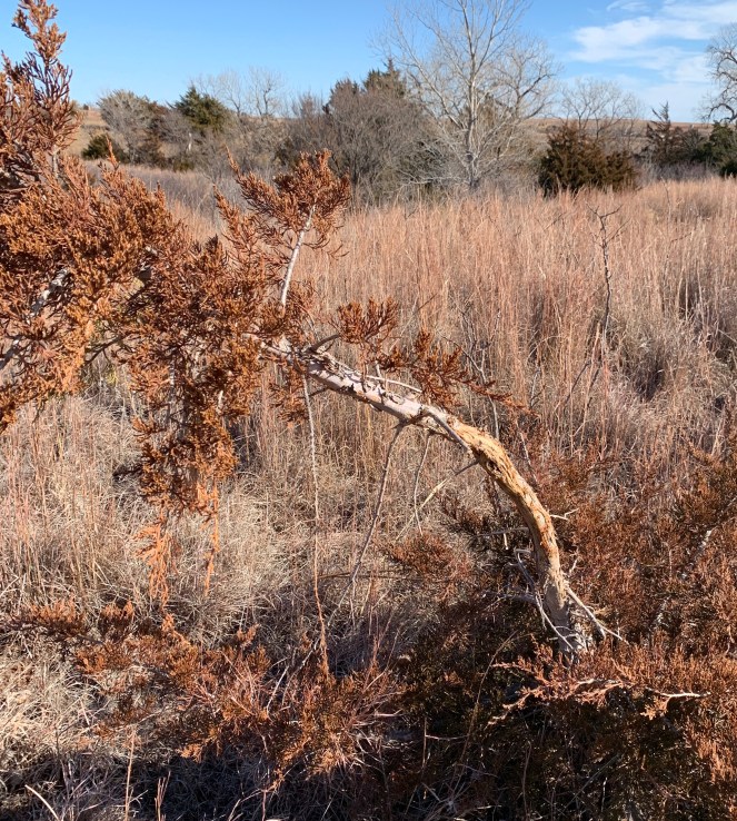 A8FFDC05-3B50-40E8-A040-99307FCC8775